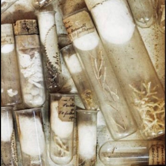 Science Test Tubes Bundle Lot Of 9 Home Decor - Picture 6 of 6